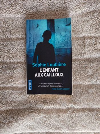 L'enfant aux cailloux de Sophie Loubière
