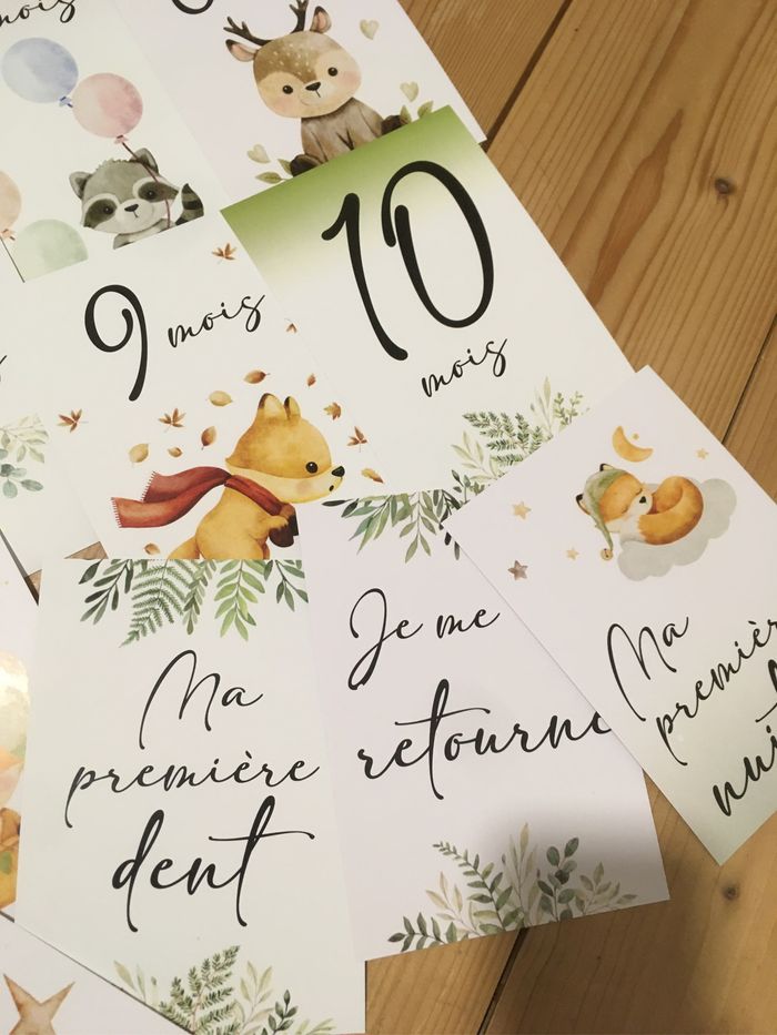 Cartes étapes Animaux de la forêt - photo numéro 3
