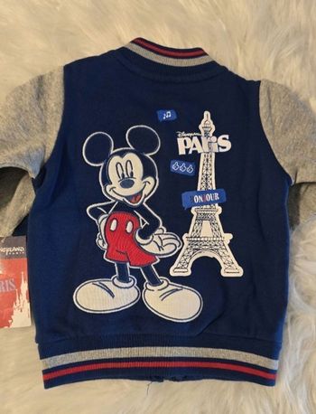 NEUVE  non portée 🏷😍🥰💙 SUBLIME  veste teddy molleton 6mois garçon disneyland Paris 😍💙