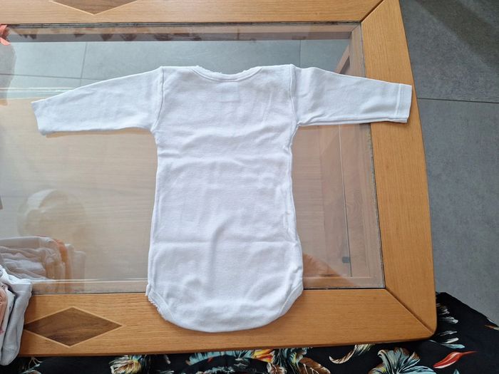 Bodie 3 mois - photo numéro 2