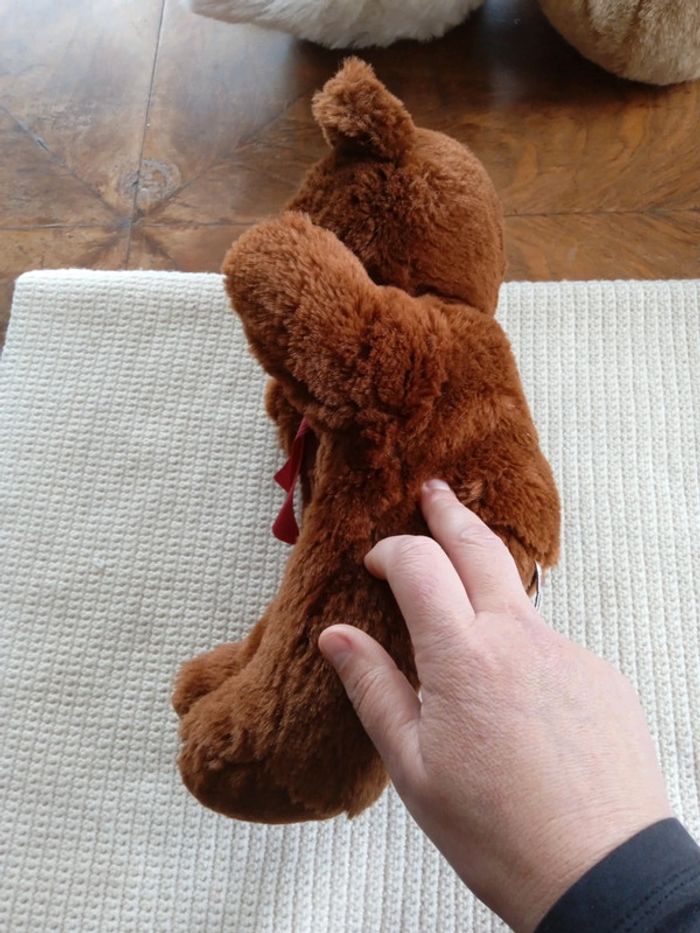Peluche Ours 🐻 - photo numéro 2
