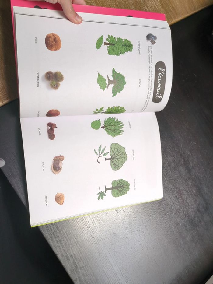 Cahier Montessori nature - photo numéro 4