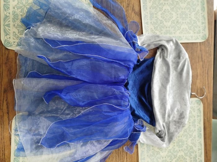 Déguisement la Fée Clochette - photo numéro 6