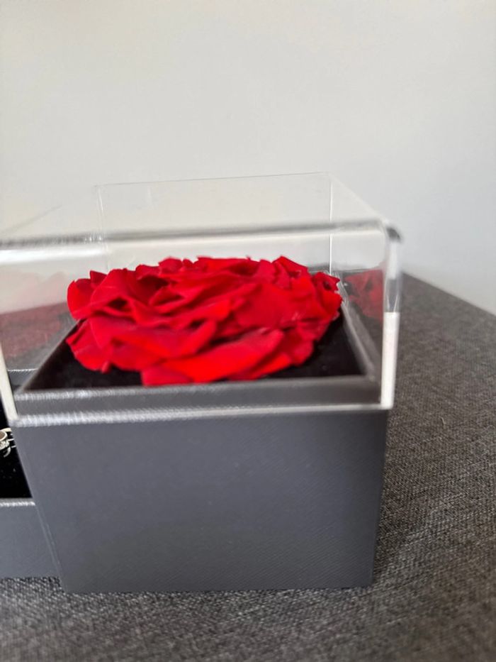 🌹💍 coffret véritable rose + collier cœur - très bon état - Allomn - photo numéro 6