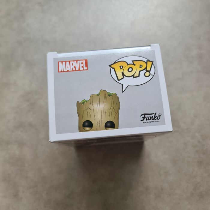 Pop Groot - photo numéro 4