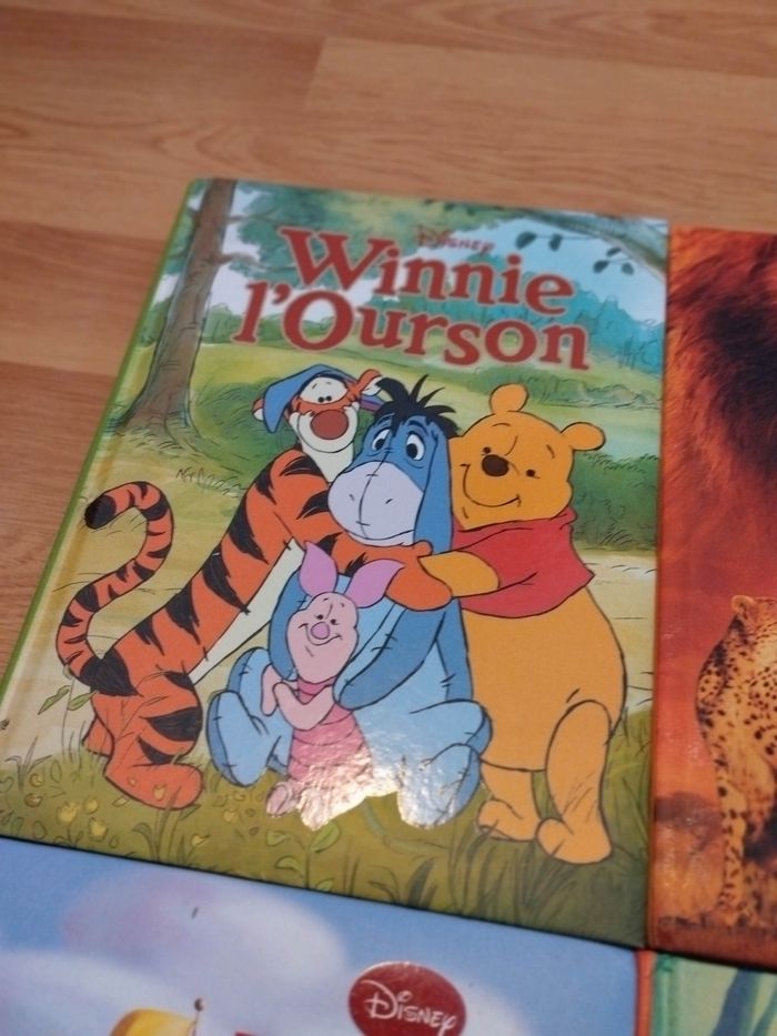 Lot Livres enfant Disney - photo numéro 5