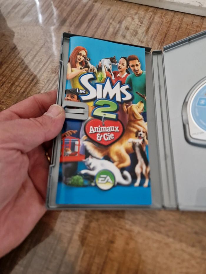 Sims 2 psp - photo numéro 2