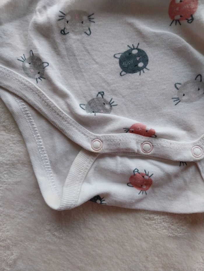 Lot de 3 bodies fille 24 mois - photo numéro 2