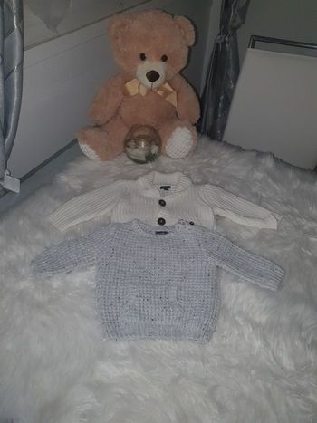 Pull et gilet taille 3 mois