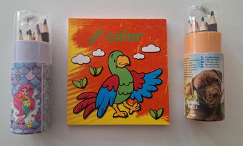 Lot mini album de coloriage et 2 boîtes de crayons de couleur