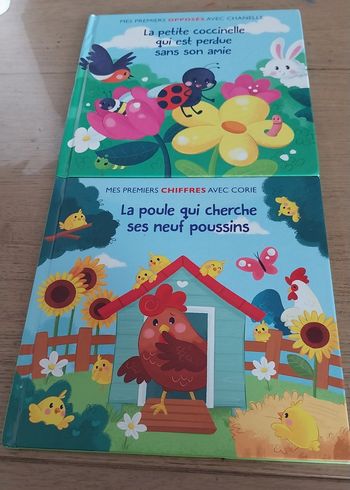 Lot de 2 livres enfant en très bon état