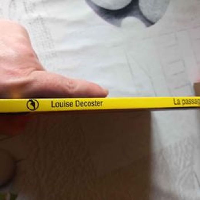 La passagère de Louise Decoster - photo numéro 2