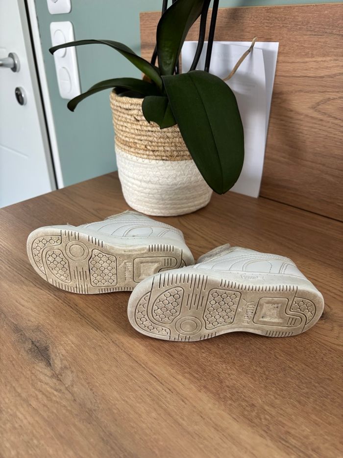 Basket puma - photo numéro 2