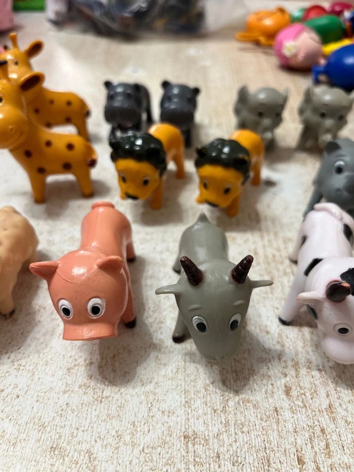 Animaux divers - photo numéro 3