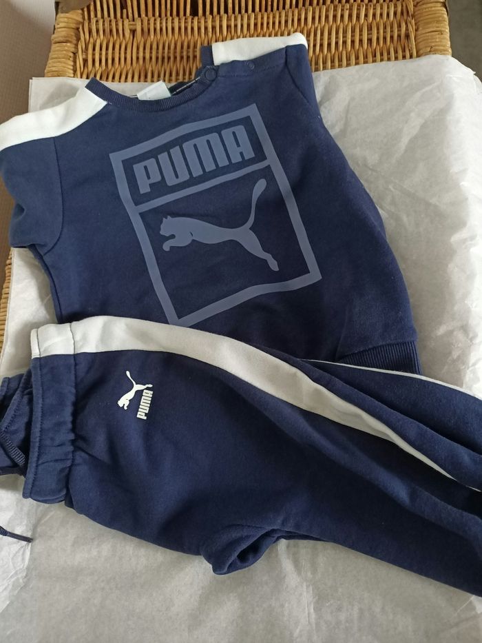 Jogging puma