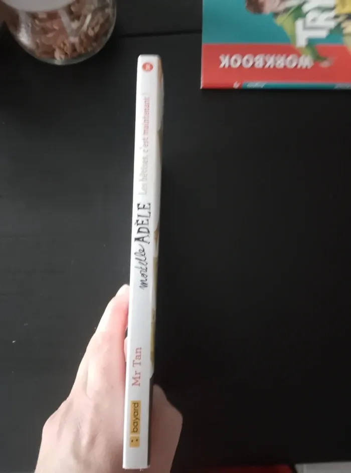 Livre Roman Mortelle Adèle - photo numéro 3