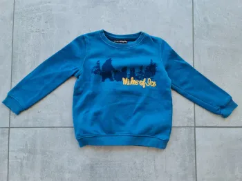 Pull molletonné 2/3 ans