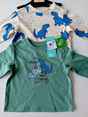 Lot dex2 t-shirts 6 mois coton bio