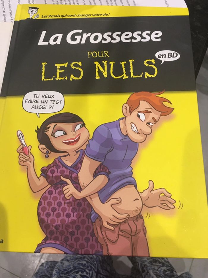 Livre la grossesse pour les nuls