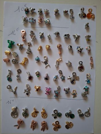 Diverses  charms 