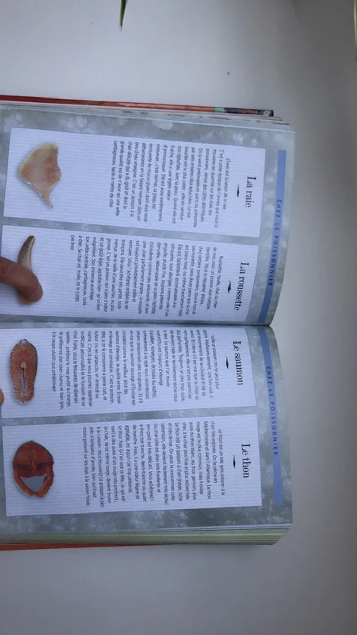 Guide cuisine de tous les jours - photo numéro 5