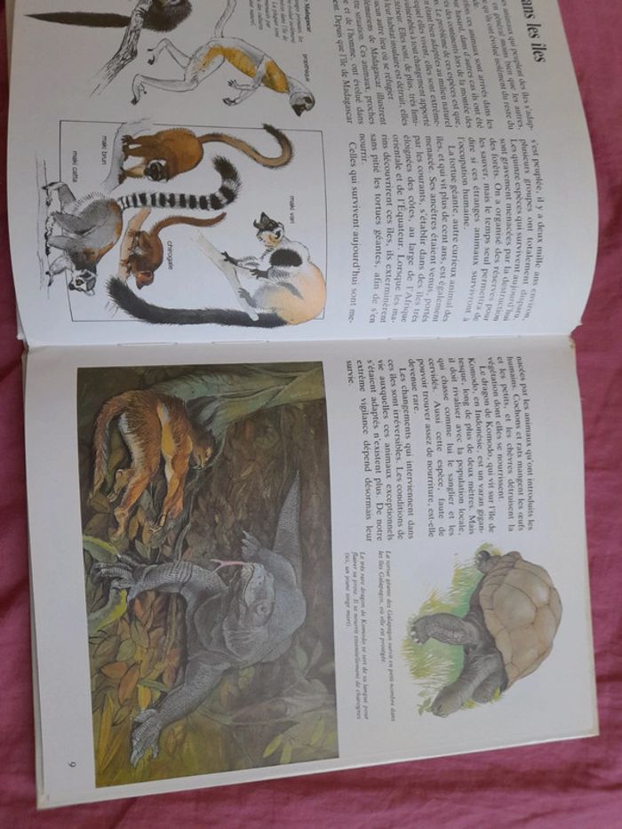 Livre les animaux - photo numéro 4