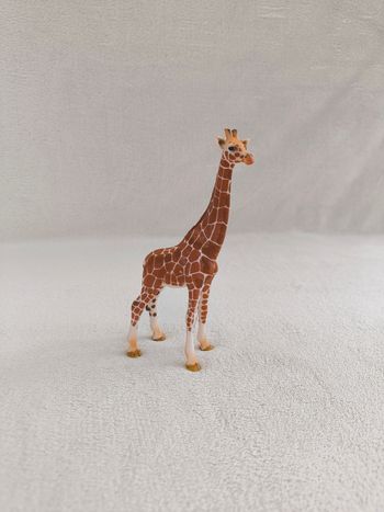 Girafe Schleich
