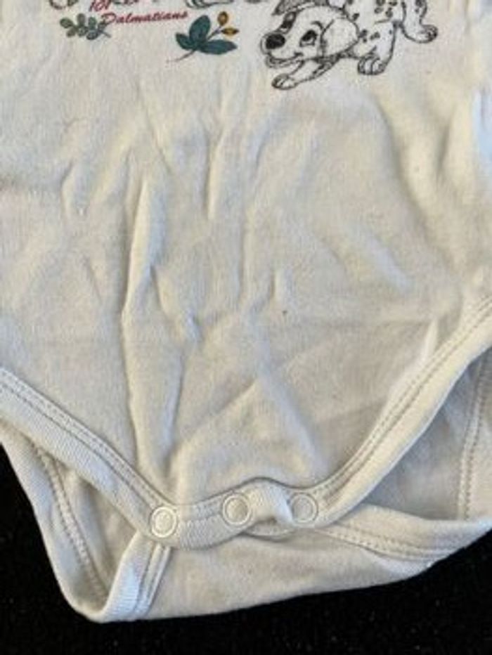 Bodie 3 mois - photo numéro 3