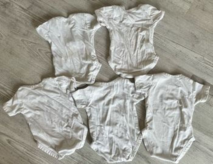 Lot 5 bodys 9 mois Bledina - photo numéro 2
