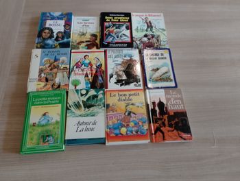 Lot de 12 livres divers (couverture rigide) (9)