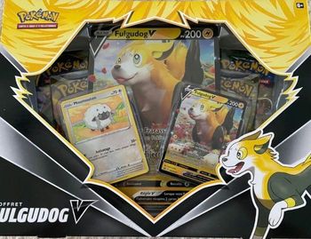 Coffret pokemon fulgudog