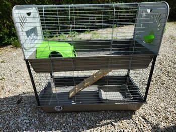Cage à lapin Caesar deluxe