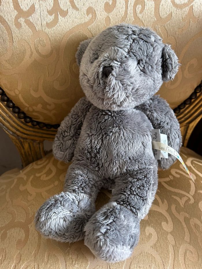 Petit ourson gris - photo numéro 9