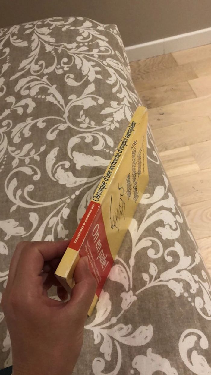 Livre chronique d’une recherche d’emploi exemplaire - photo numéro 7