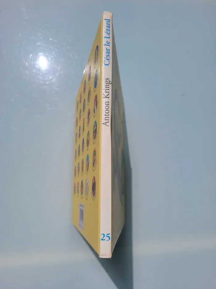 Drôles de Petites bêtes, Antoon Krings, tome 25 🦎 César le Lézard 🦎 - photo numéro 3