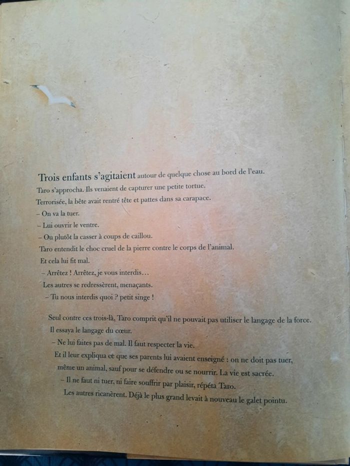 Les 2 vies de Taro de Jean-Pierre Kerloc'h et Elodie Nouhen - photo numéro 3