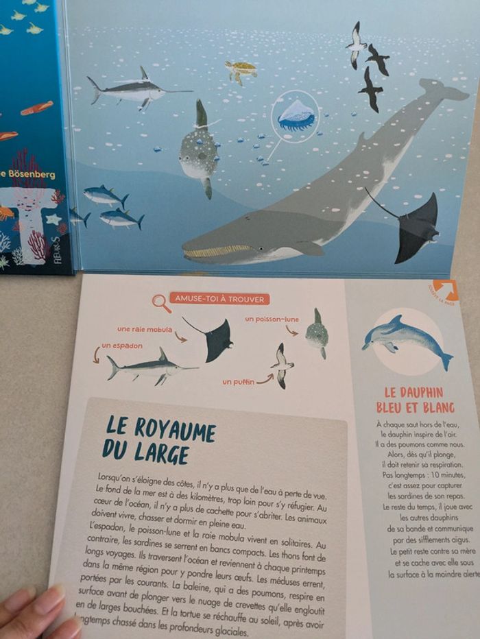 Livre panoramique La Mer - photo numéro 5