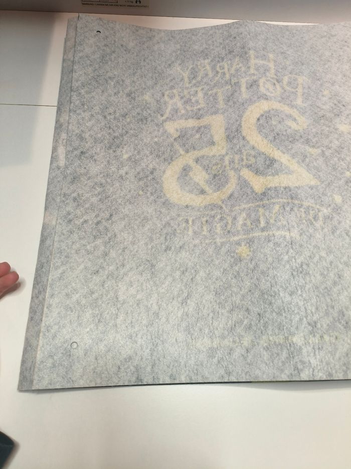 Affiche fronton intissé Harry Potter 25 ans - photo numéro 9