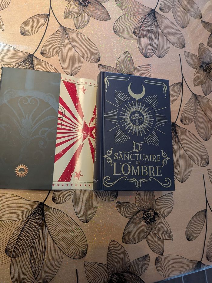 Le sanctuaire de l'ombre - photo numéro 3