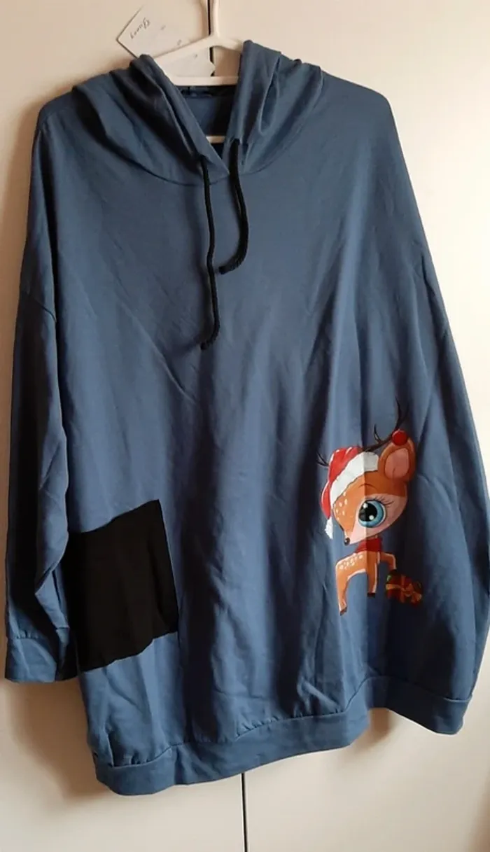 Sweat à capuche léger bleu Danny