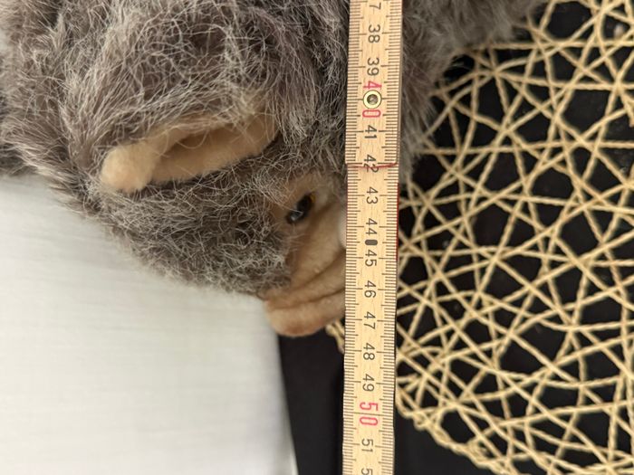 peluche sanglier - photo numéro 3