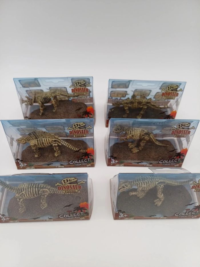Dinosaur Fossil – Squelette de Dinosaure à Collectionner
