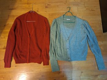 Lot de 2 cardigans taille L