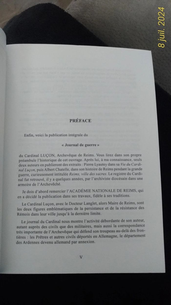 Journal de Guerre 1914-1918 Cardinal Luçon - photo numéro 4