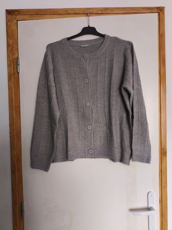 Gilet gris blancheporte