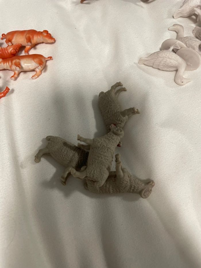 Lot animaux - photo numéro 4