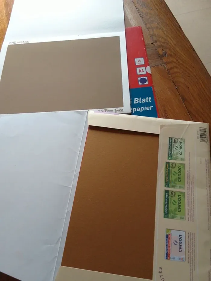 Gros lot de feuilles canson dessin - photo numéro 2
