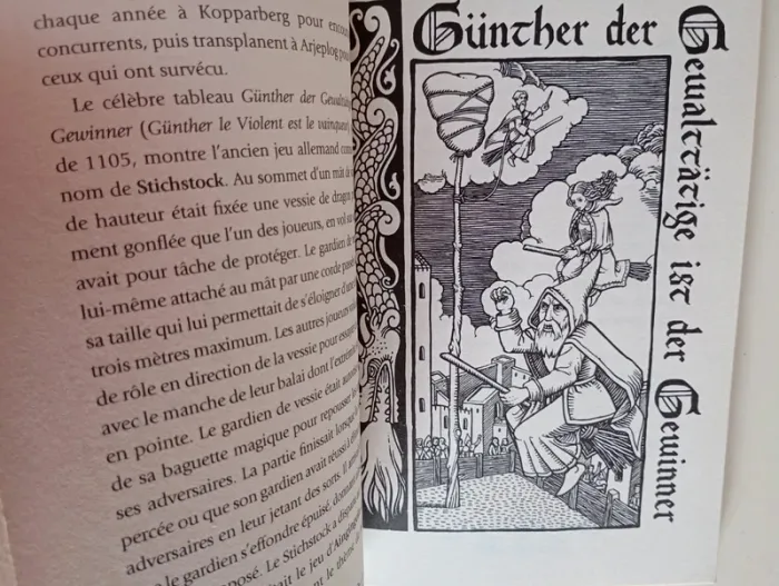 Le Quidditch à travers les âges - photo numéro 3