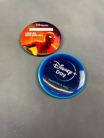 Badges Disneyland Paris officiels