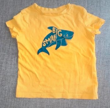 Tee-shirts garçon 12 mois